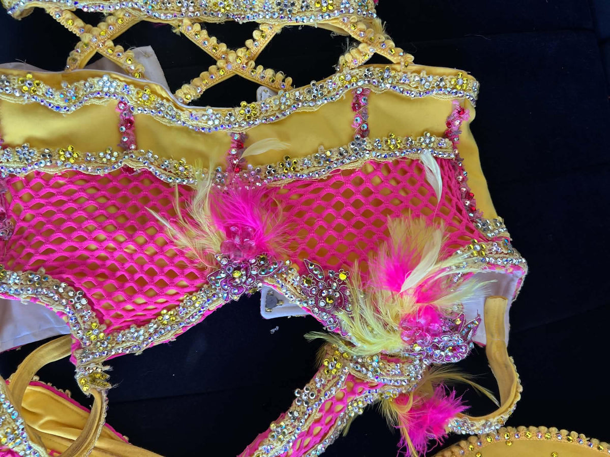 Teresa Yee Western Wear: Needs TLC